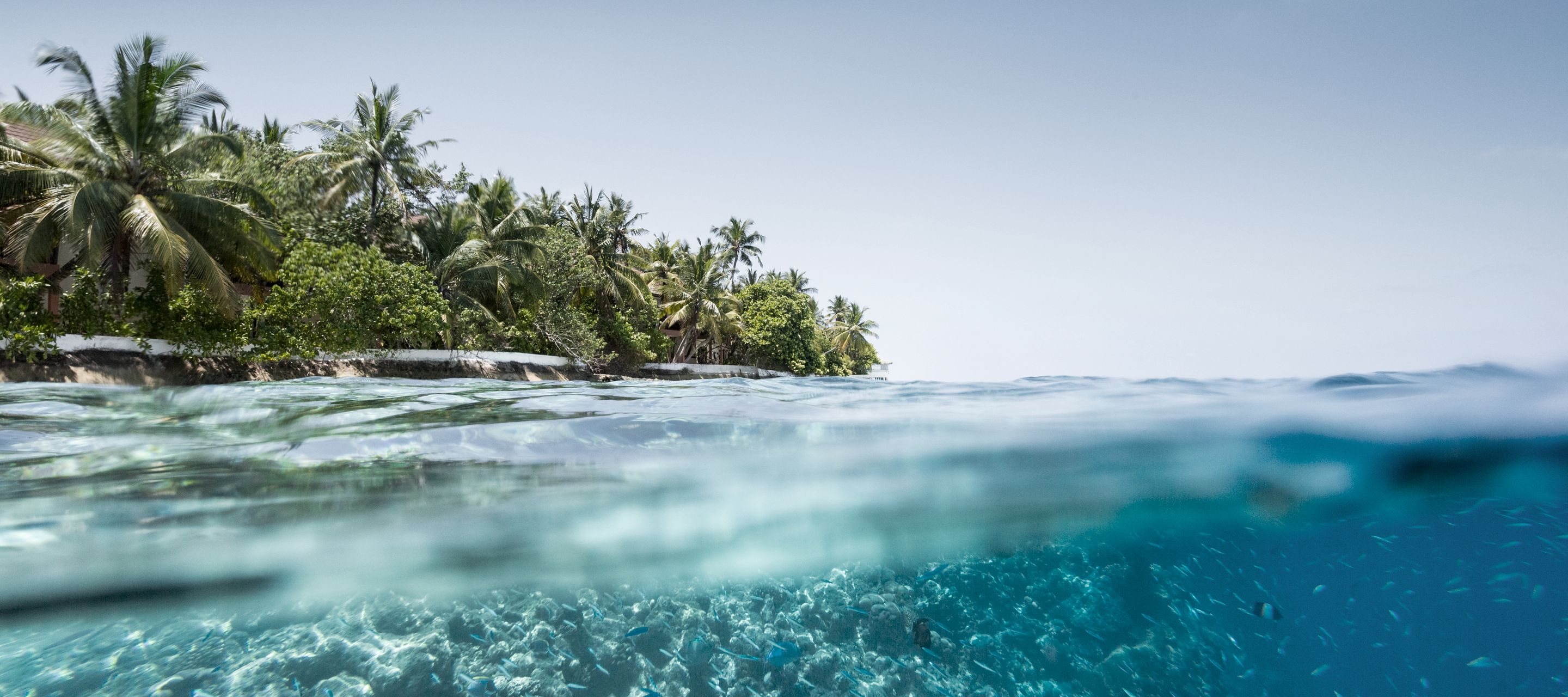Die Unterwasserwelt der Malediven, ein farbenfrohes Kontrastprogramm zur grünen Insel