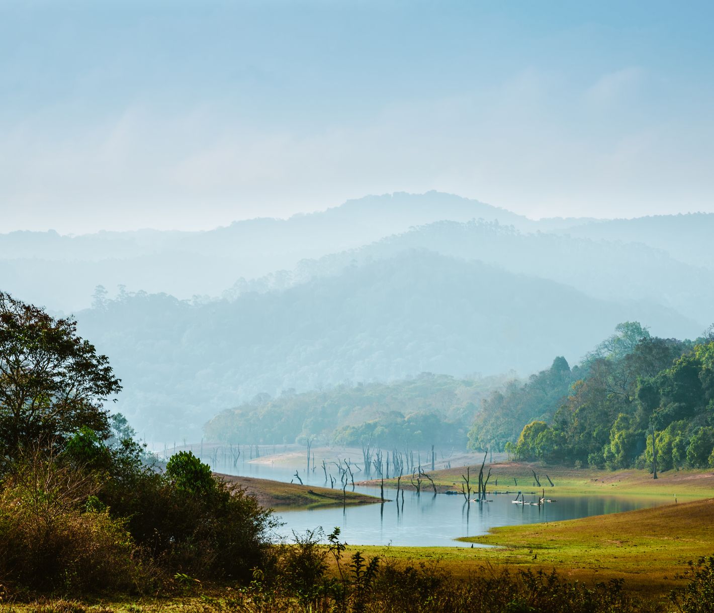 Der Periyar-Nationalpark - die Heimat von Elefanten und Tigern