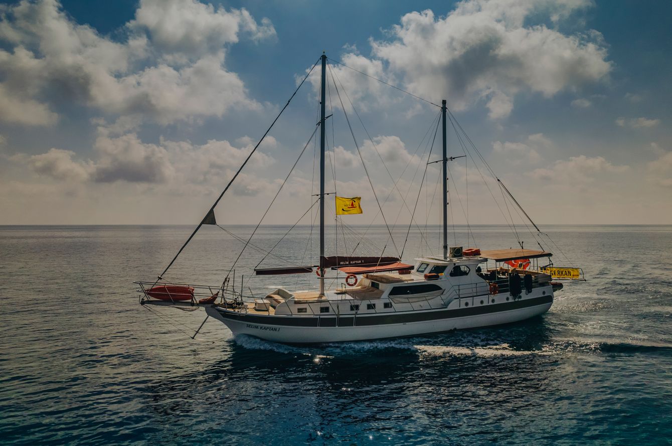 21.Image du voyage