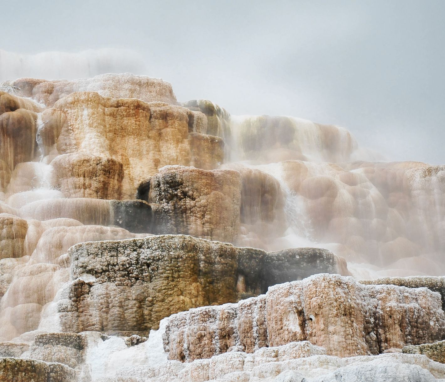 Mammoth Hot Springs ist der nördlichste Ort des Yellowstone National Parks und liegt an der Grenze zu Montana.