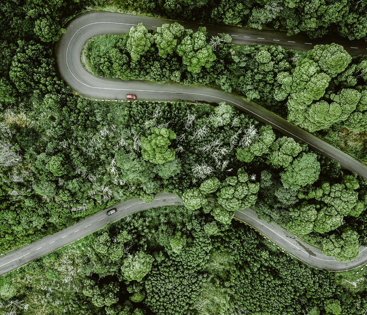 Durch die üppige Landschaft Madeiras kurven