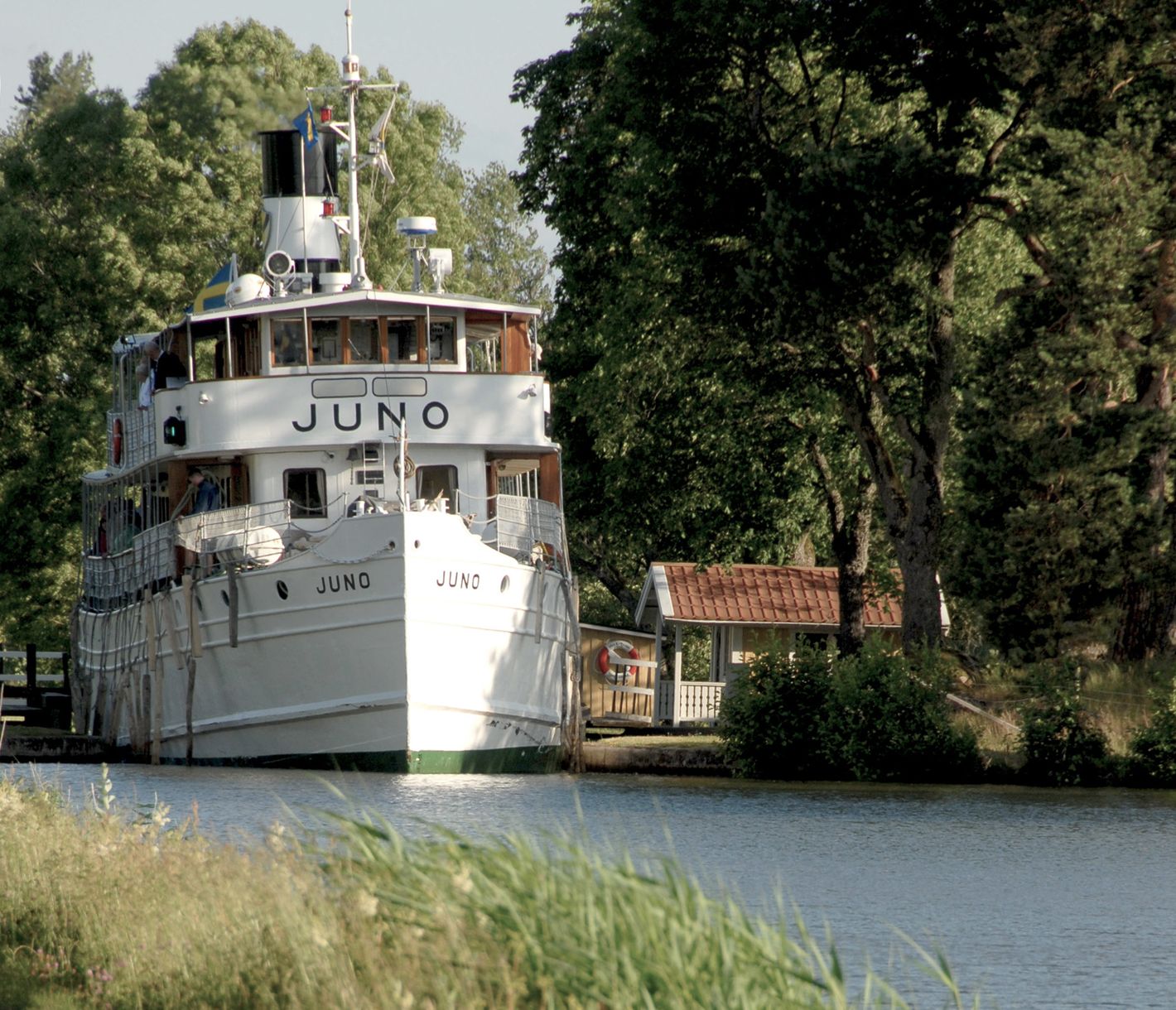 Eine Lady mit Jahrgang 1874
