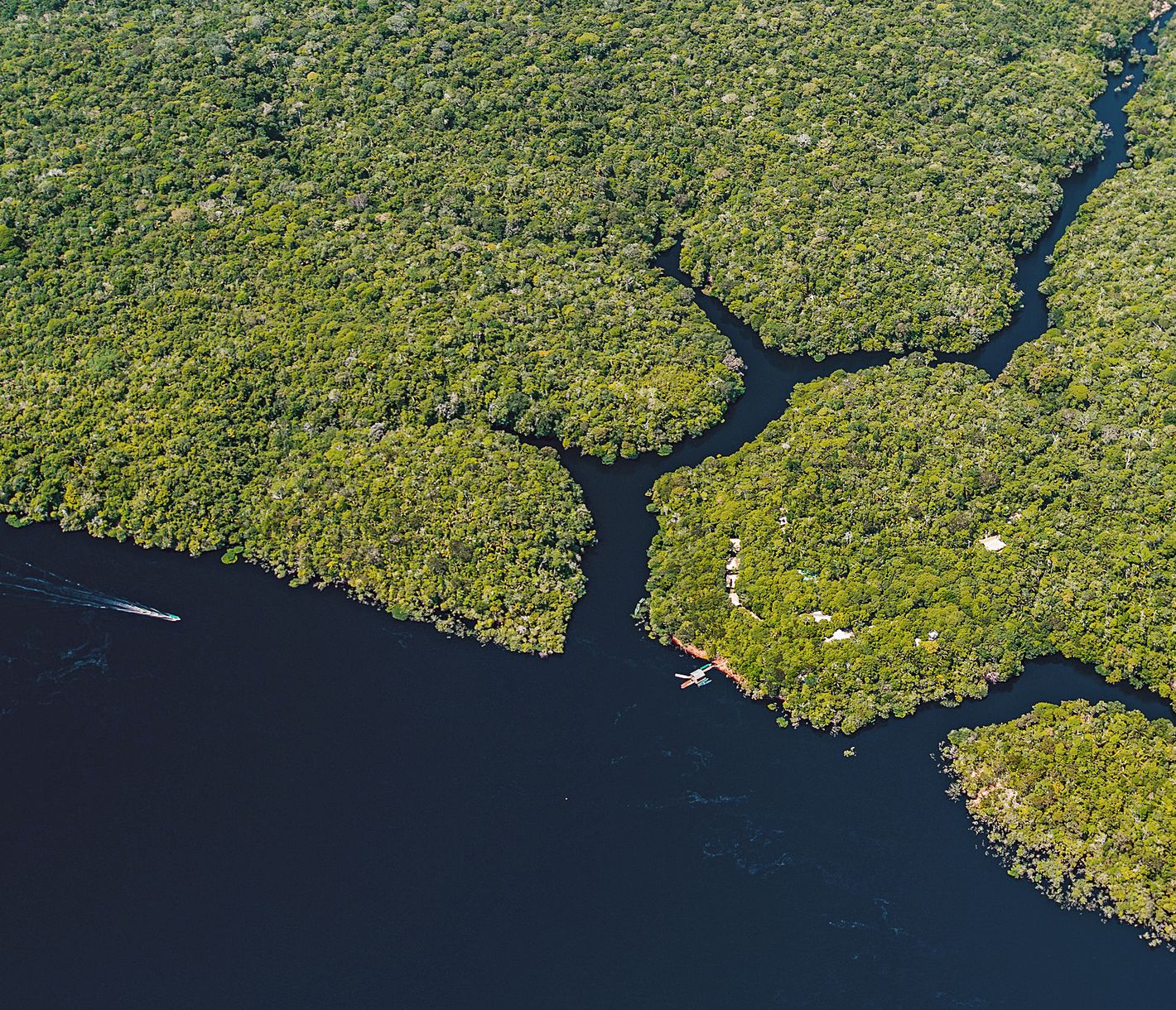 Der Anavilhanas-Archipel am Rio Negro