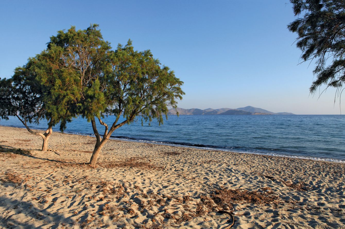Plage de Tigaki, Cos