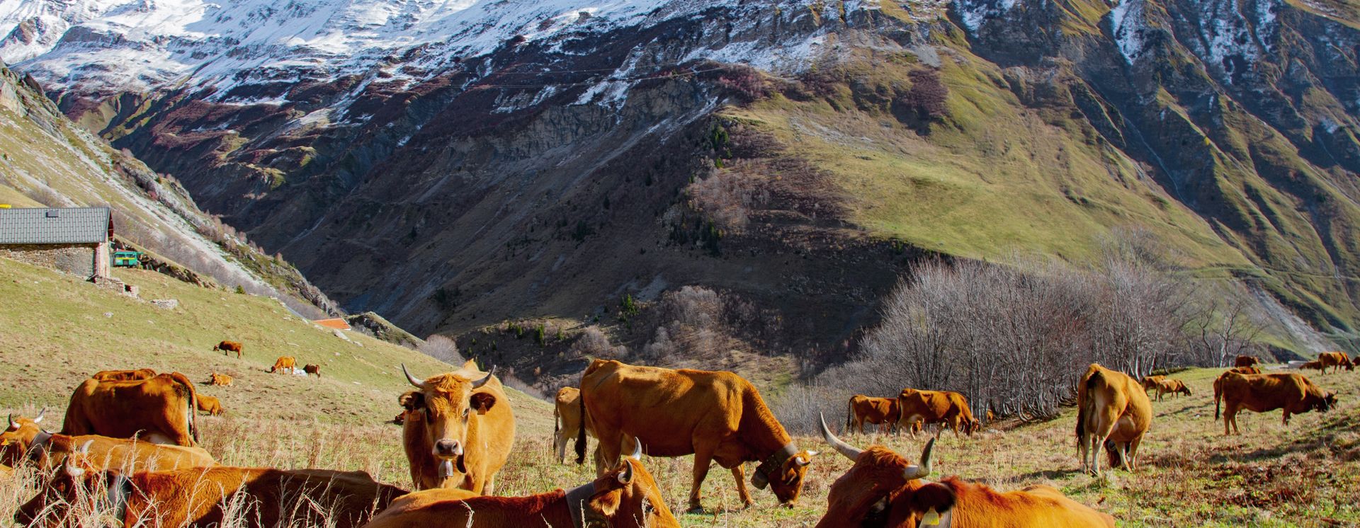 in den Alpen von La Plagne