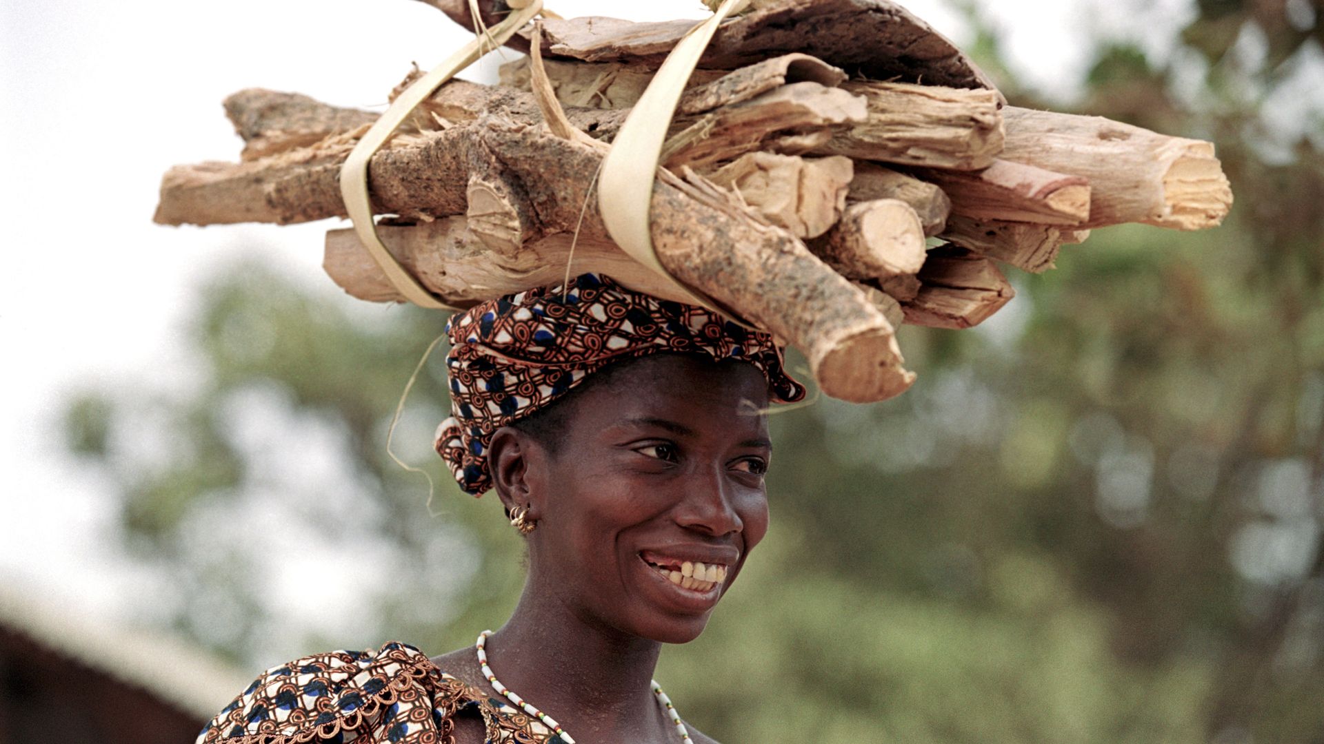 Eine Gambierin spaziert mit einem Holzbündel auf dem Kopf.