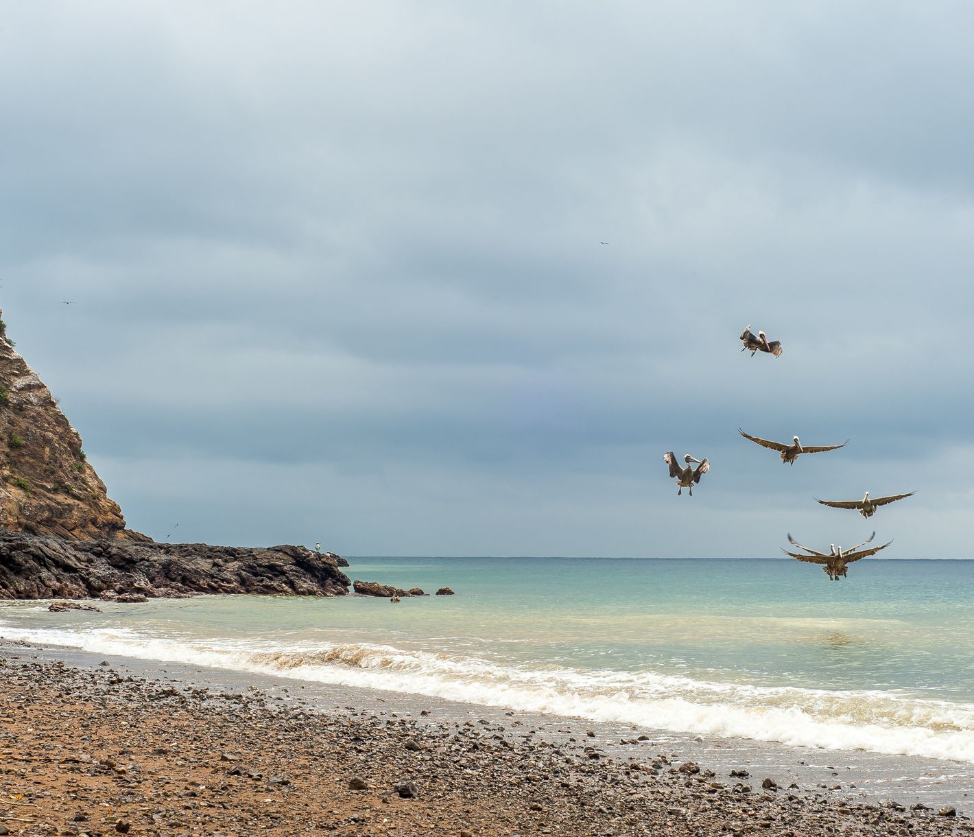 Fast wie auf den Galapagos-Inseln