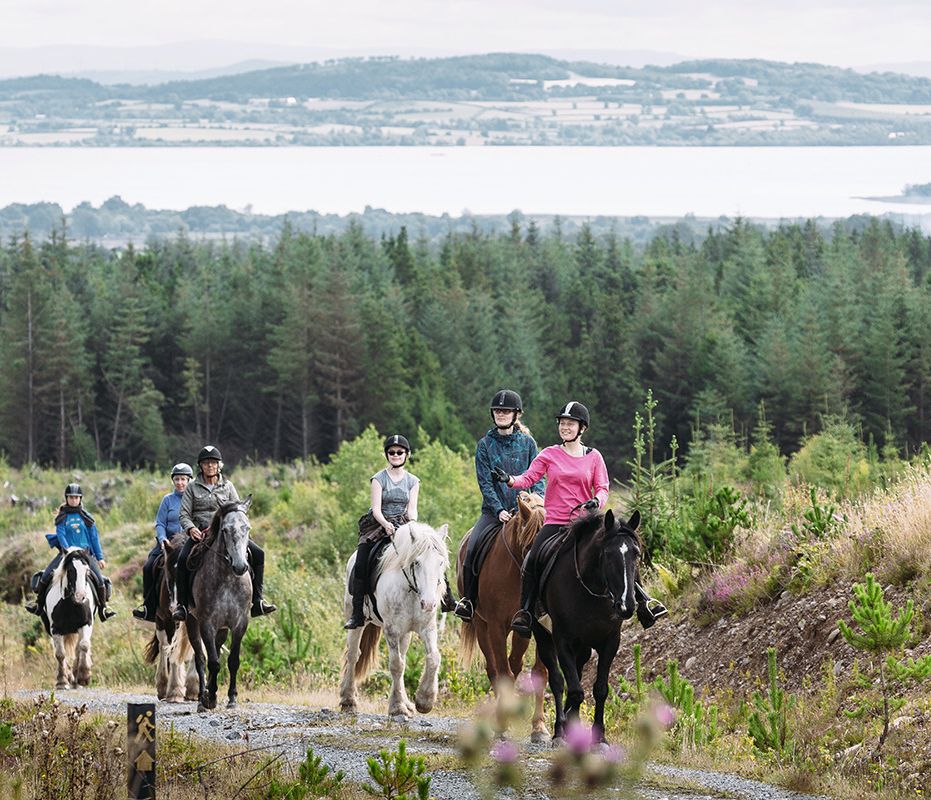 Unterwegs auf der Grünen Insel