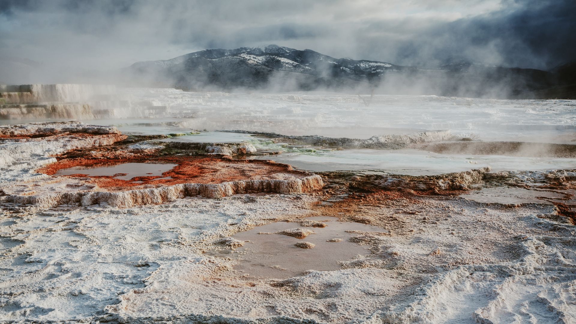 Die Mammoth Hot Springs im Yellowstone-Nationalpark