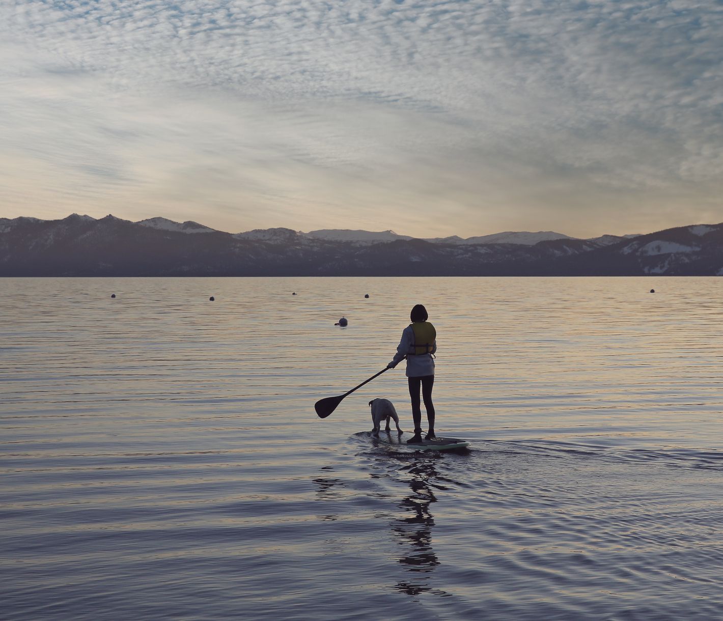 Für Entdeckungstouren auf dem Lake Tahoe können Sie beim Strand am Camp Richardson Paddle Boards mieten.