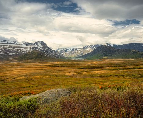 Hardangervidda-Nationalpark