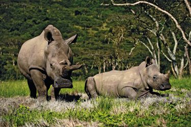 Bilder zu Kindercomics (ZIP/JPG)