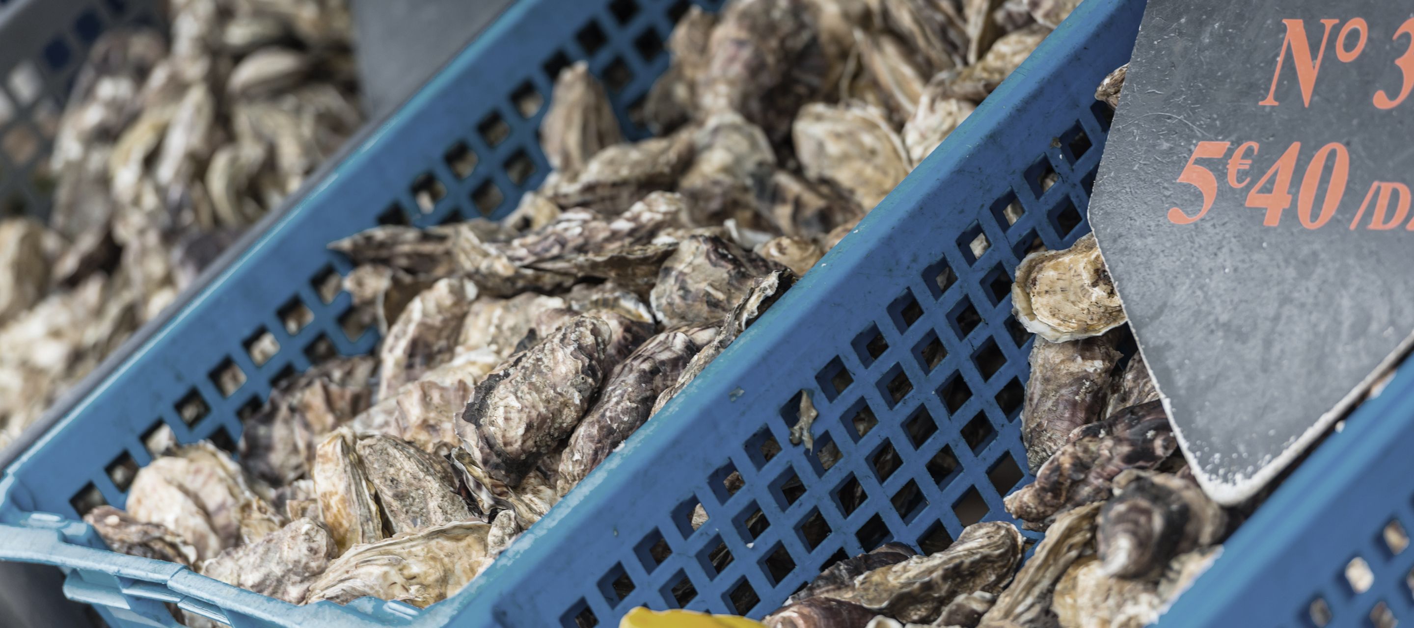 Un met délicat qui n’est pas un produit de luxe: les huîtres de Cancale