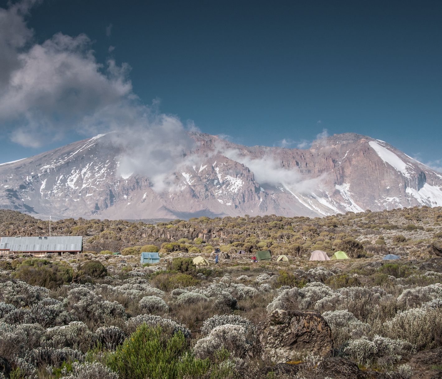 Arrivée au camp de Shira (3700 m)