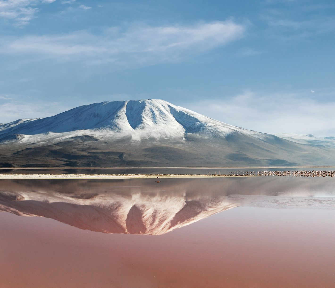 Die Laguna Colorada, die farbige Lagune, ist eines der grössten Naturwunder Boliviens.