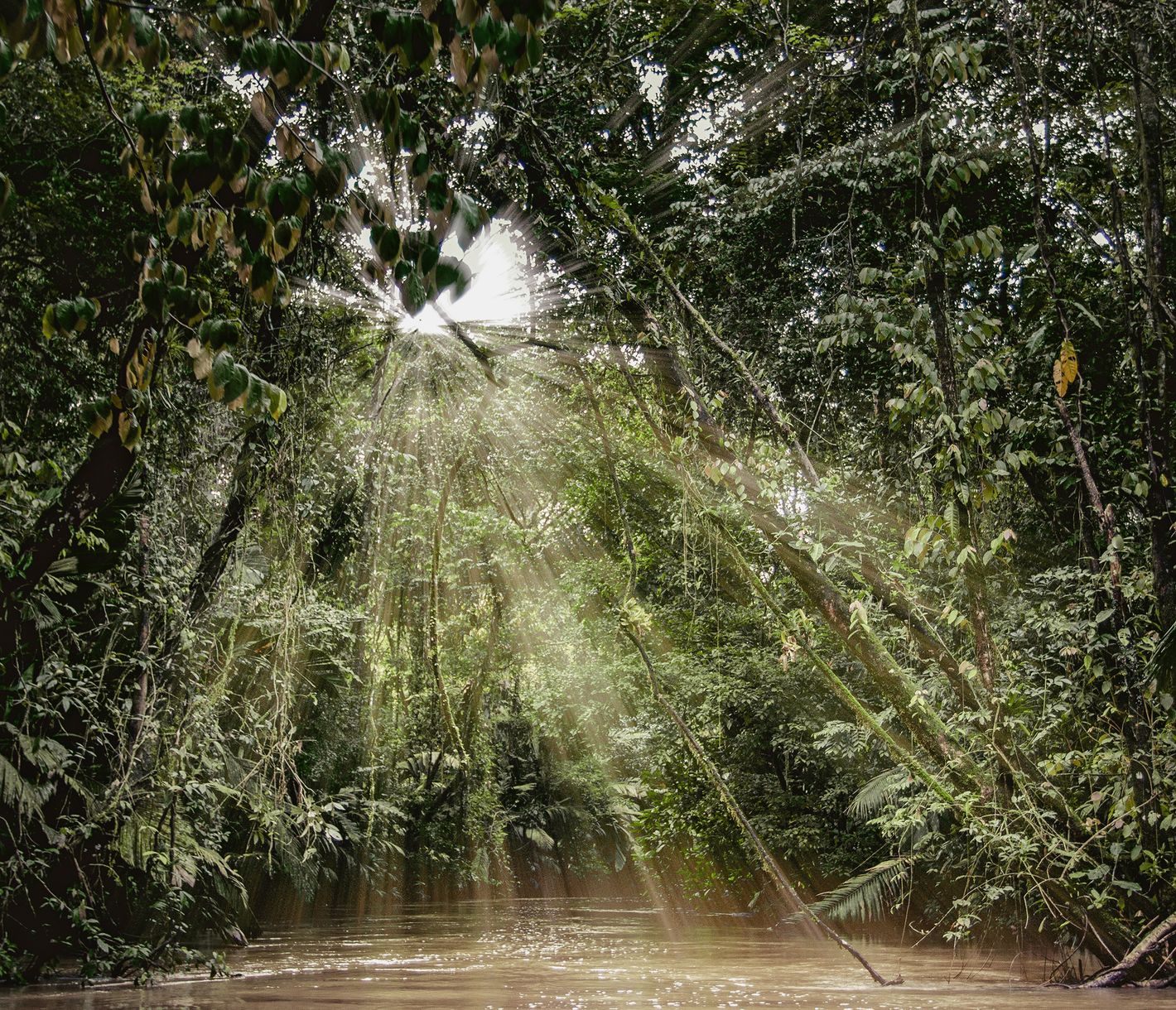 Unterwegs auf den Kanälen im Nationalpark Tortuguero.