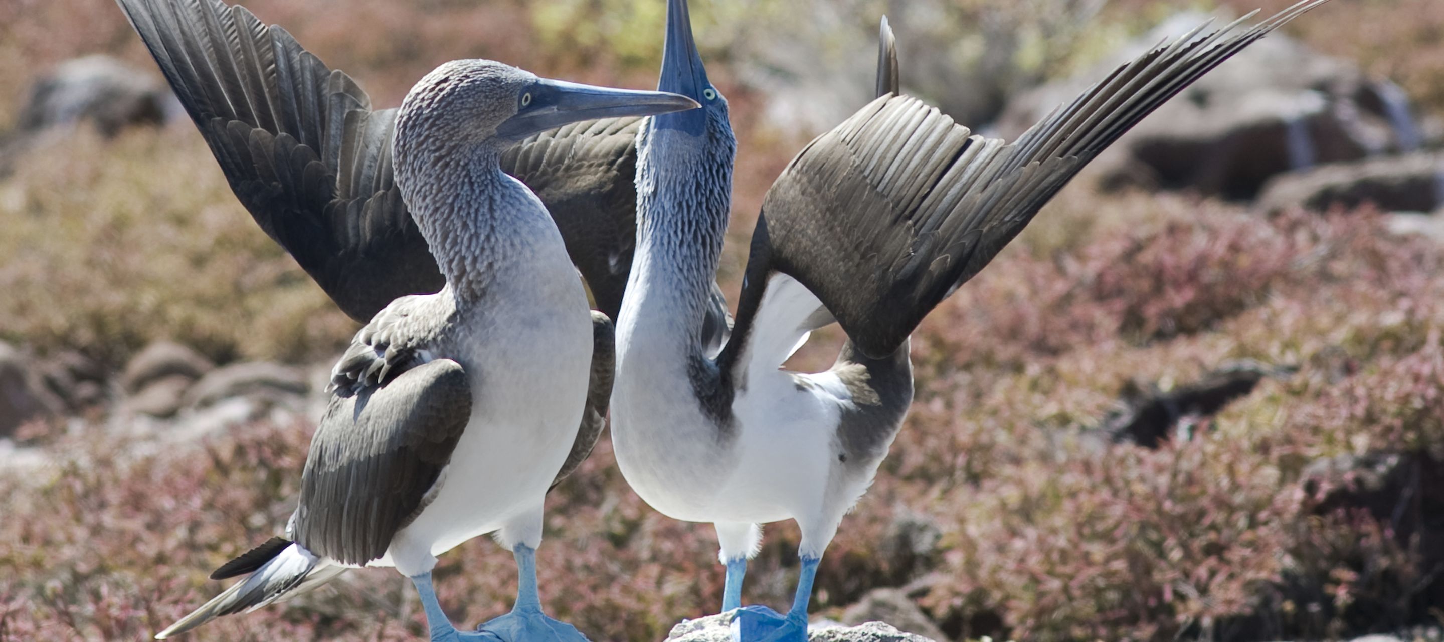 Unschwer zu erkennen.