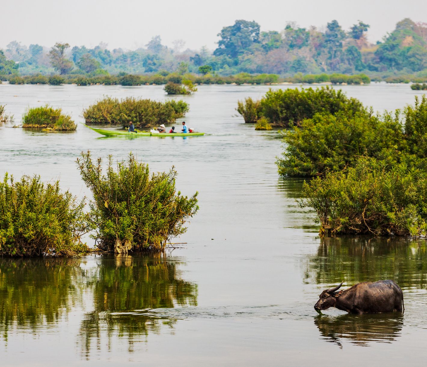 Si Phan Don, qui se traduit par "4000 îles", est situé à la pointe sud du Laos.
