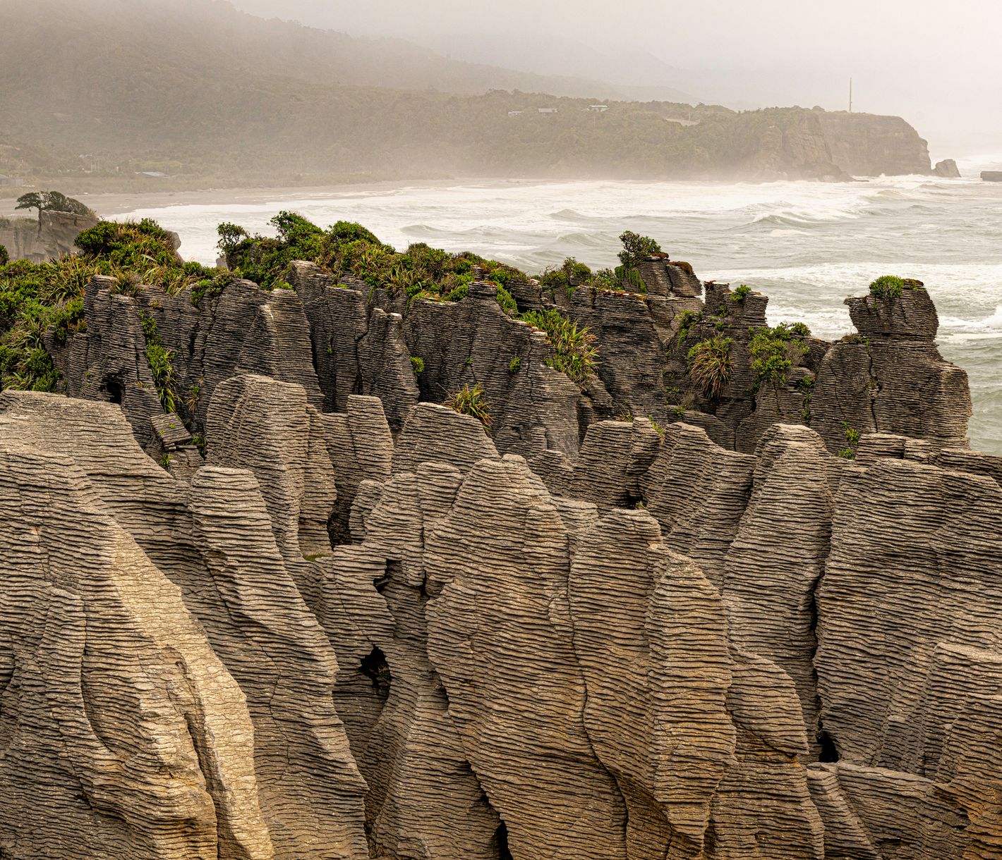 Paparoa National Park