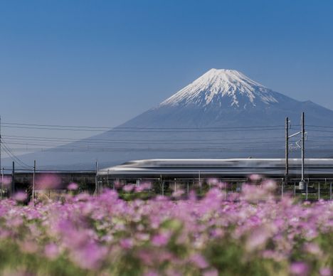 Le majestueux Fujiyama, la montagne-emblème.