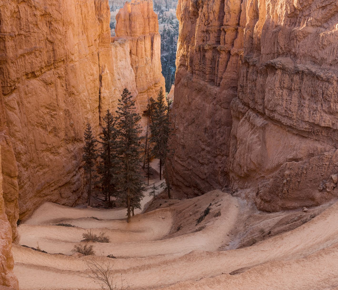 Im Bryce Canyon hat die Natur als geniale Bildhauerin gewirkt.