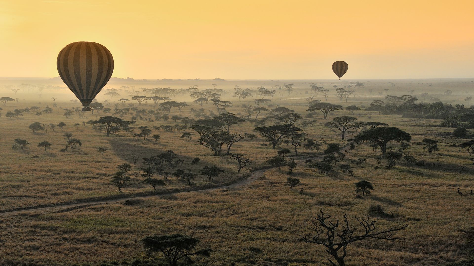 Morgendliche Ballonsafari über die Ebene der Serengeti