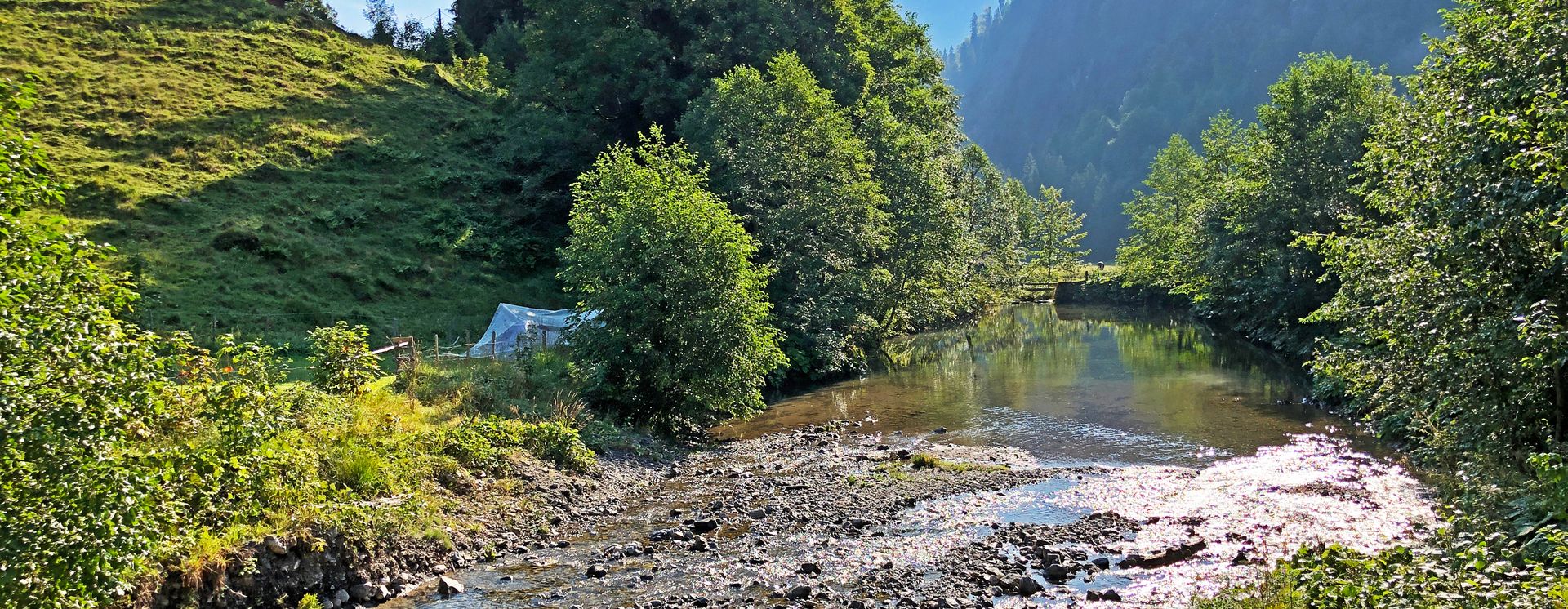 Grüne Wiesen im Glarnerland