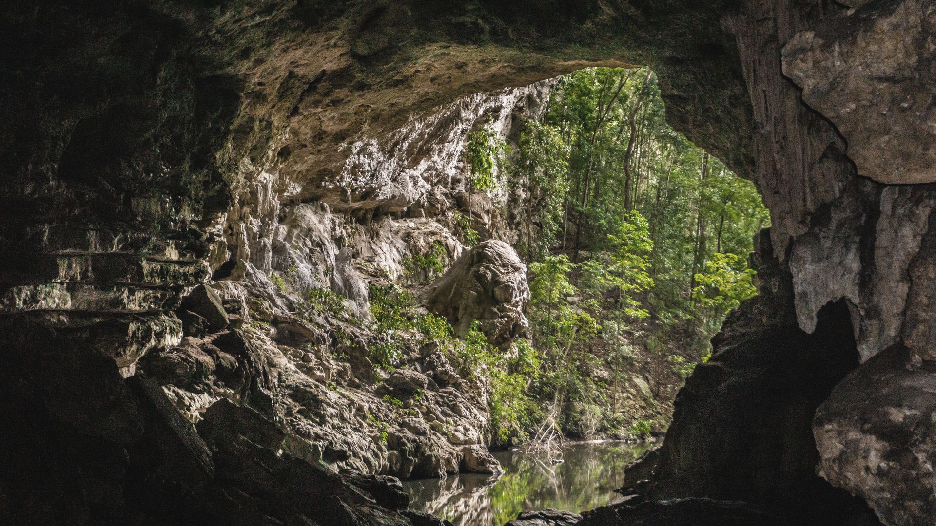 Une journée-type dans la région de San Ignacio : jungle, cascades et visites de grottes
