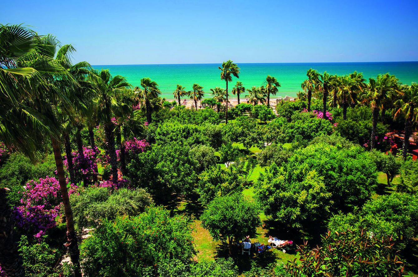 Jardin