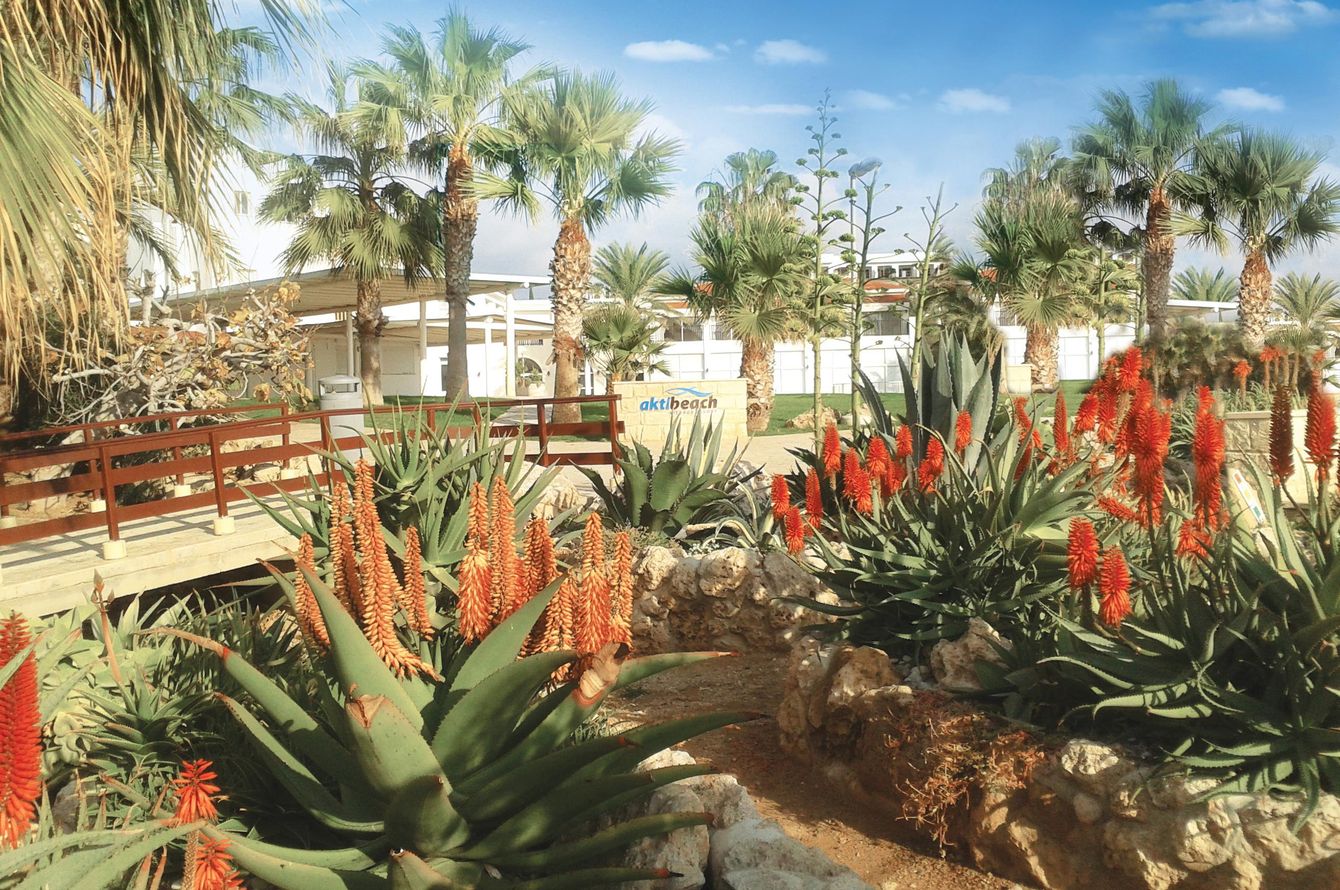 Gartenanlage