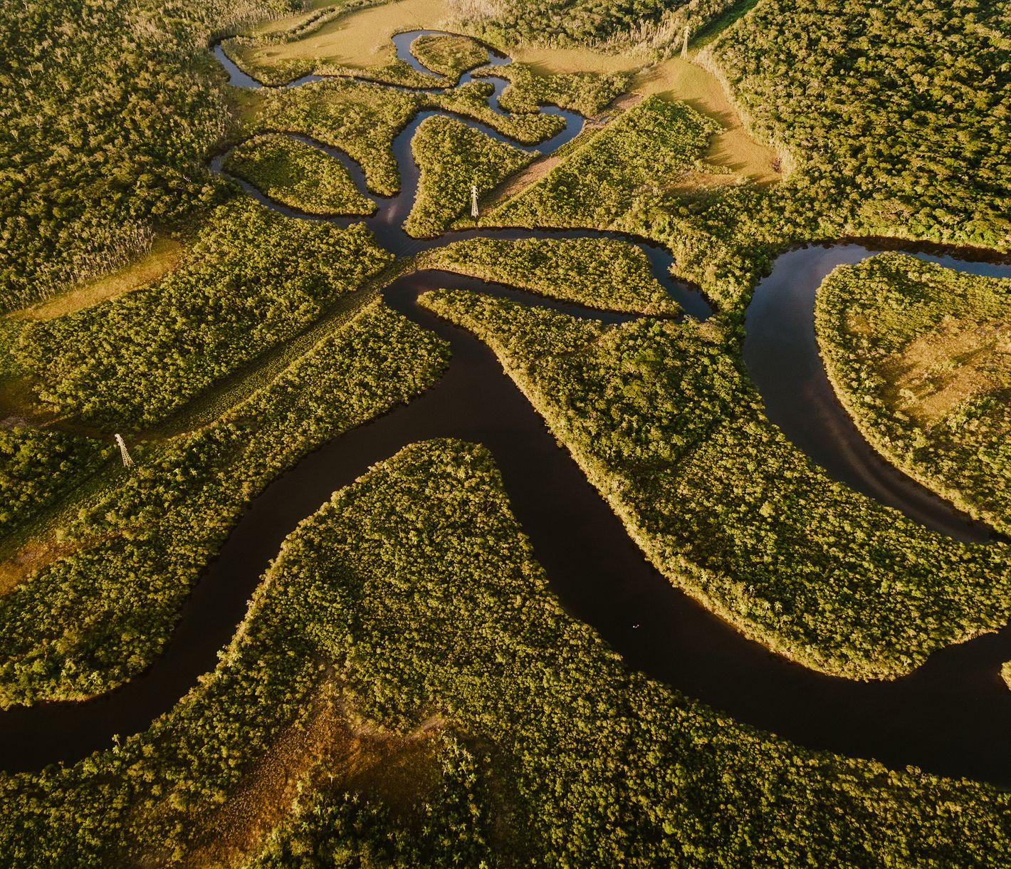 Ein Wunder aus der Luft: der Amazonas