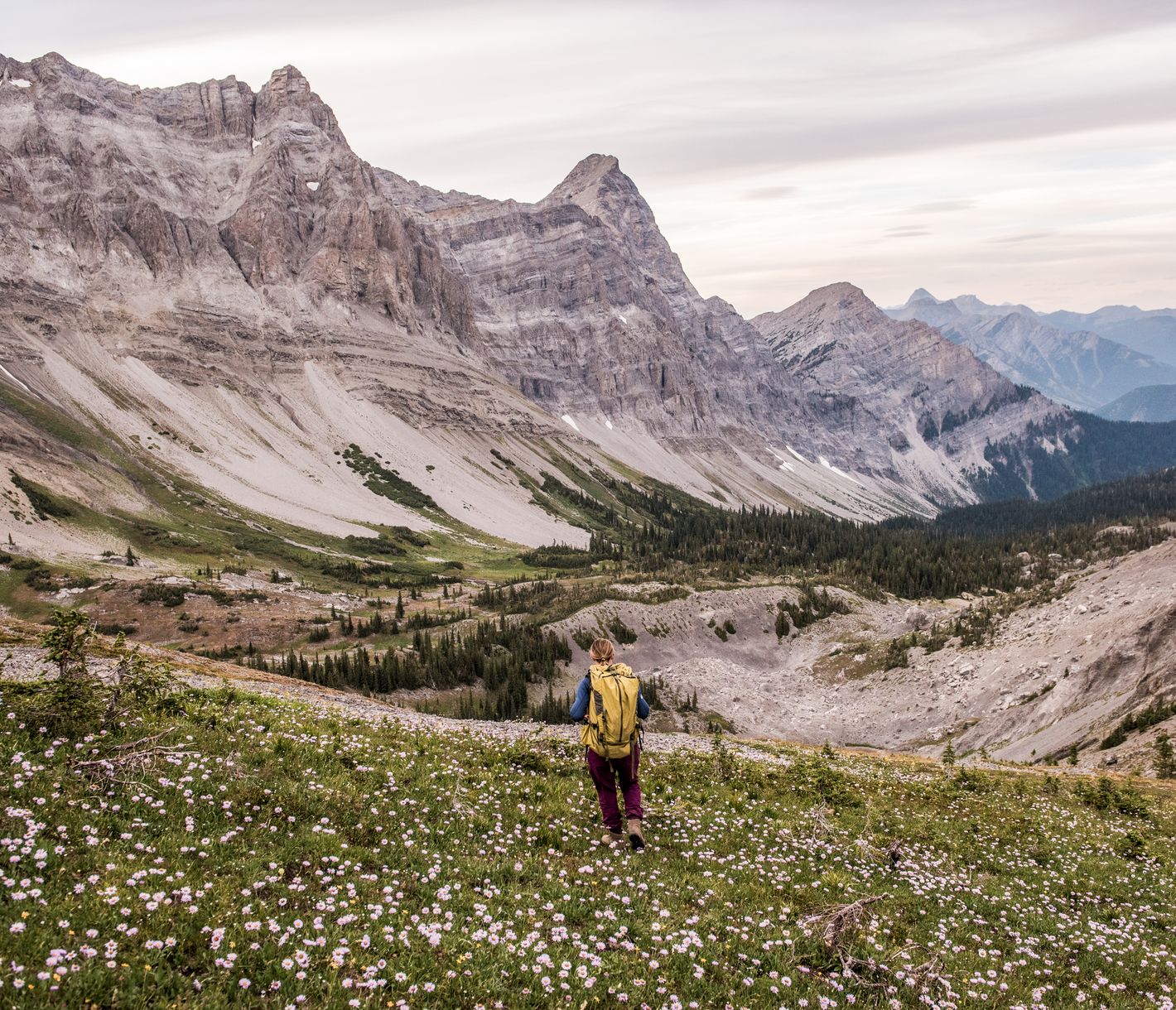 Unzählige Wandermöglichkeiten