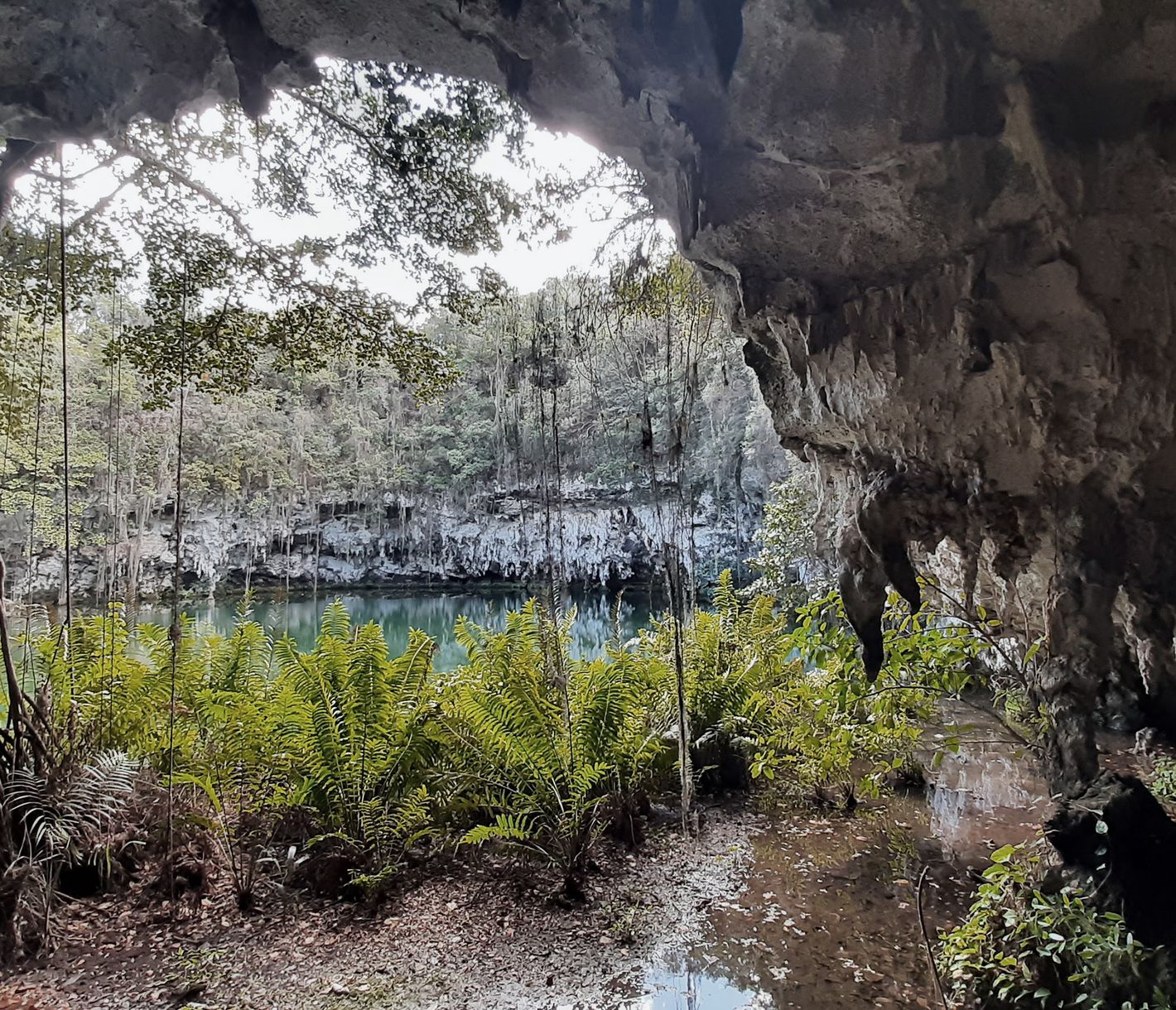 Tres-Ojos-Nationalpark