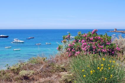 TH Cinisi - Florio Park