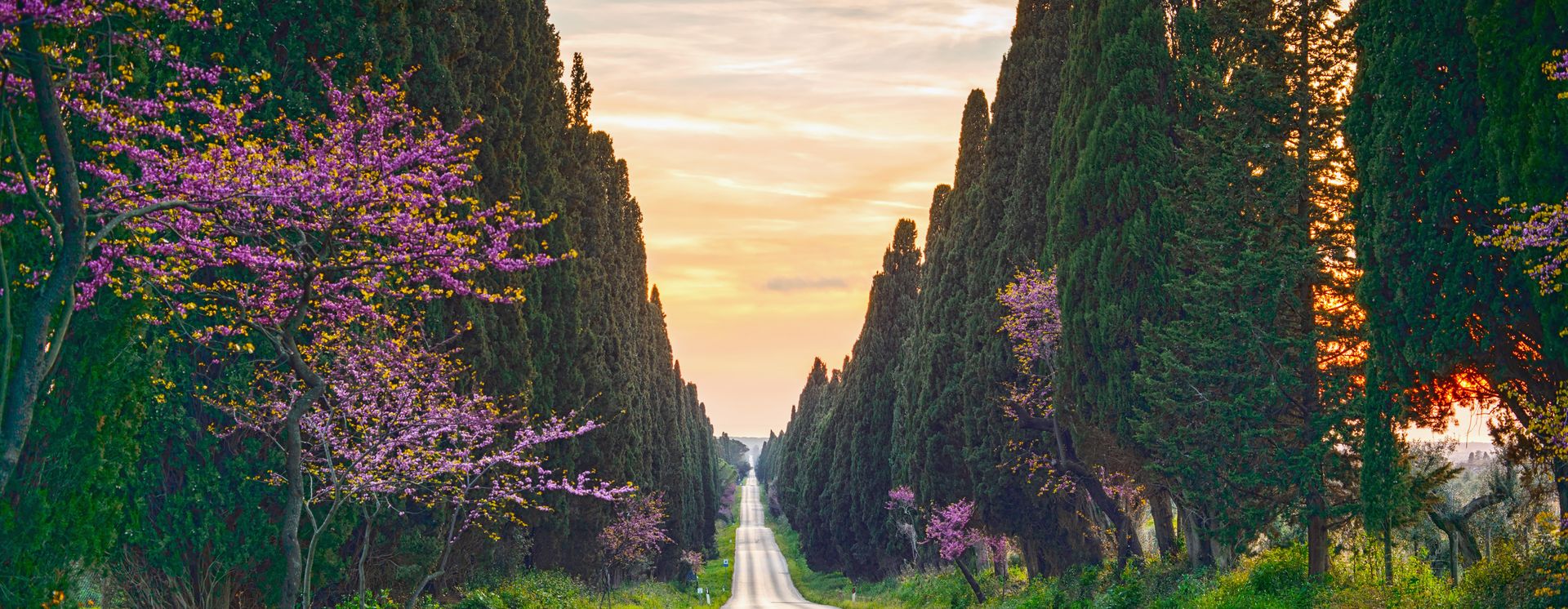 Destination image 13