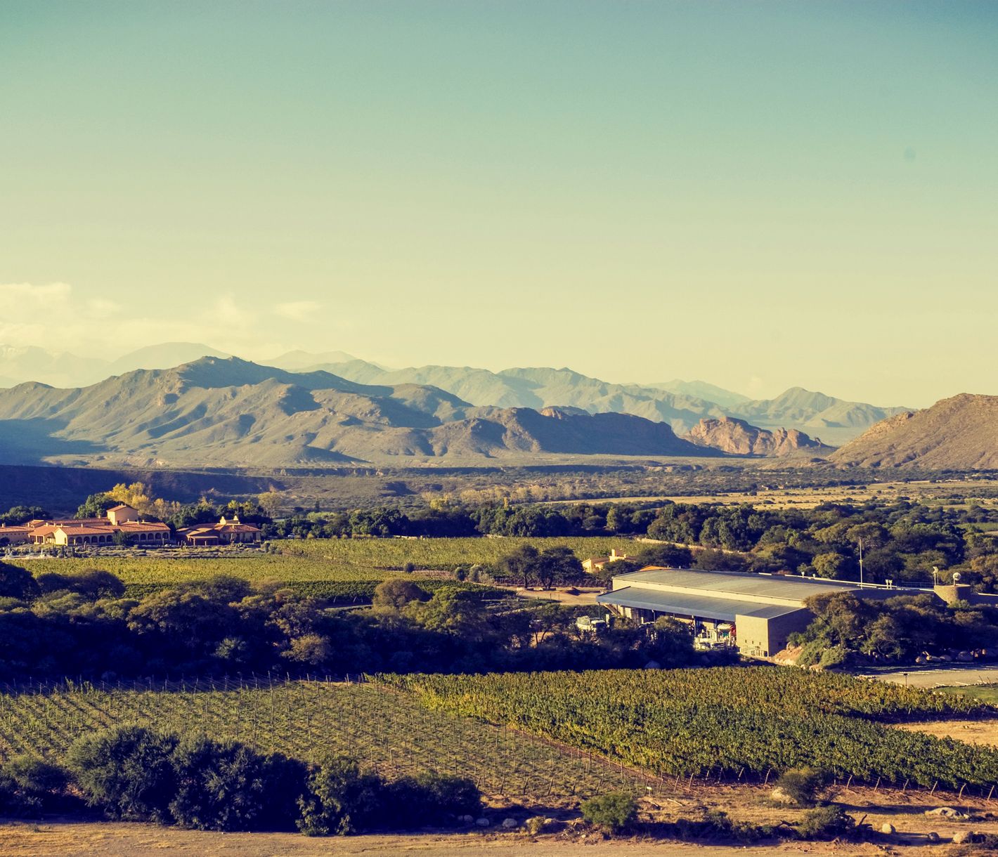 Weingenuss in Cafayate