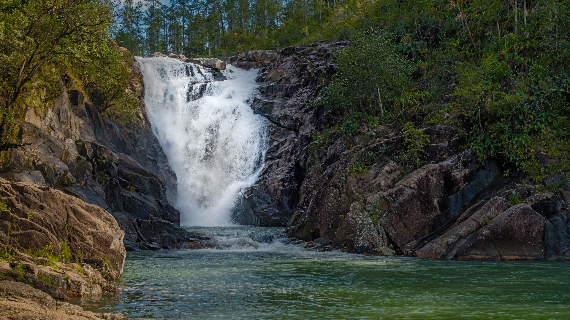 La réserve forestière de Mountain Paine Ridge, l'un des trésors de la nature du Belize