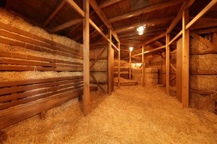 11. Bild der Unterkunft