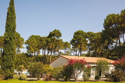 8. Bild der Unterkunft