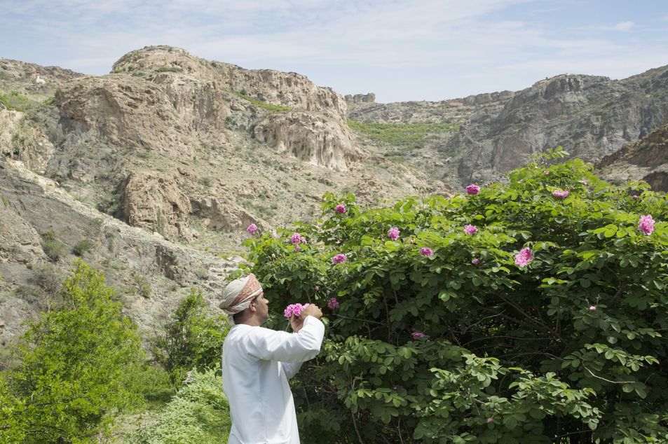 Anantara Al Jabal Al Akhdar Resort