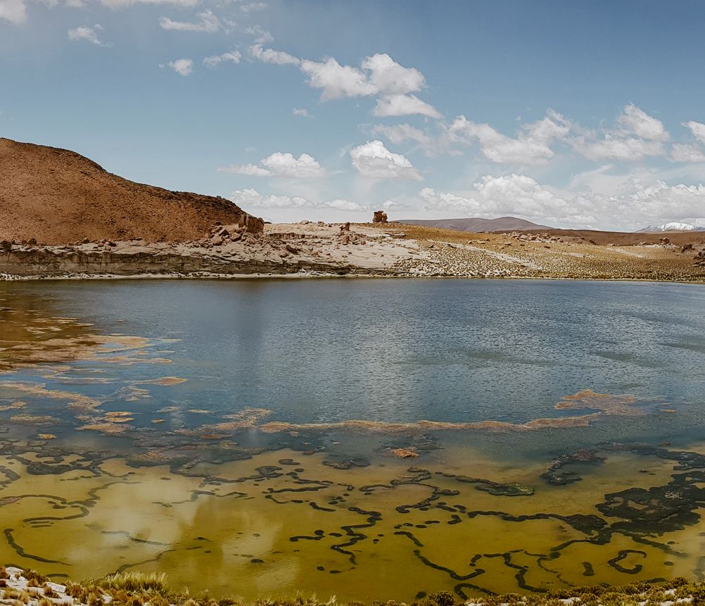 Balade autour de la lagune Turquiri