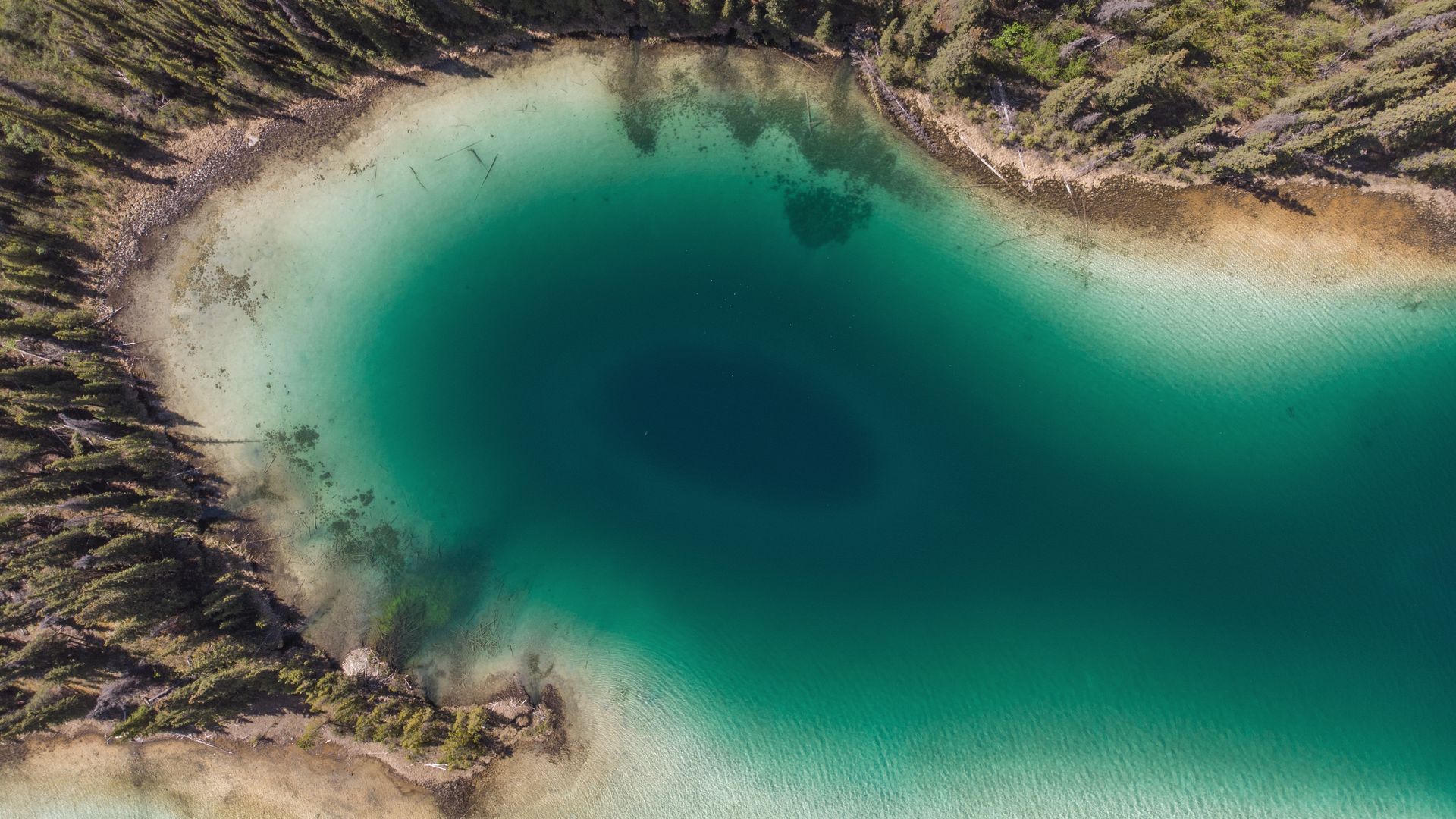 Toutes les nuances de vert.