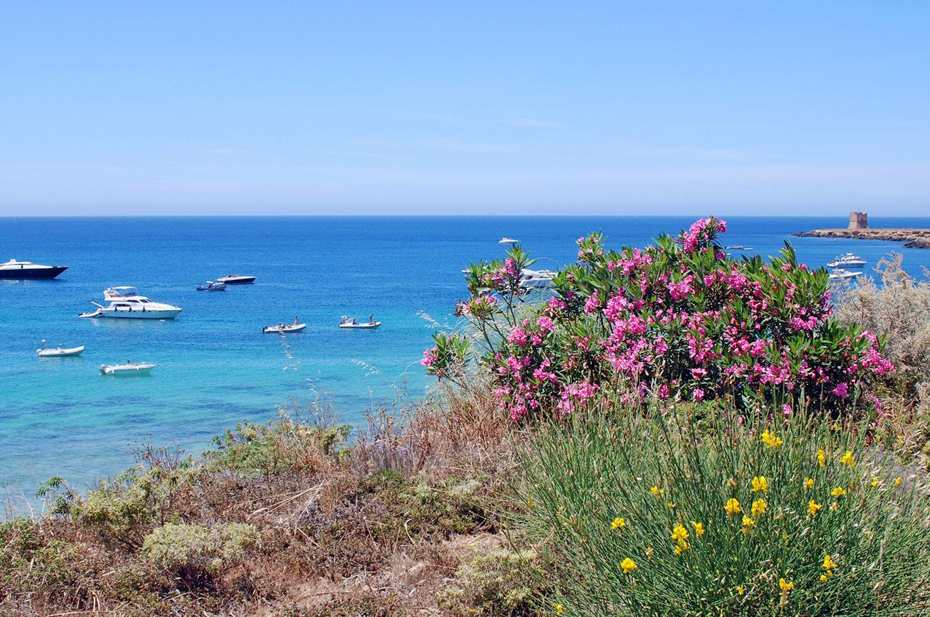 TH Cinisi - Florio Park