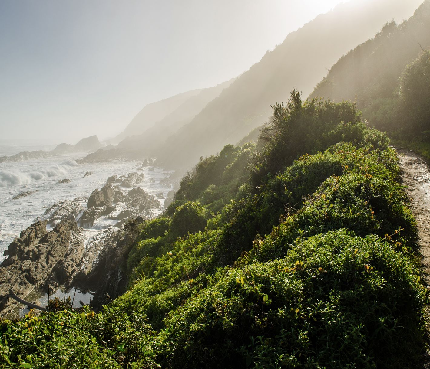 Wanderweg im Tsitsikamma-Nationalpark zu den Wasserfällen