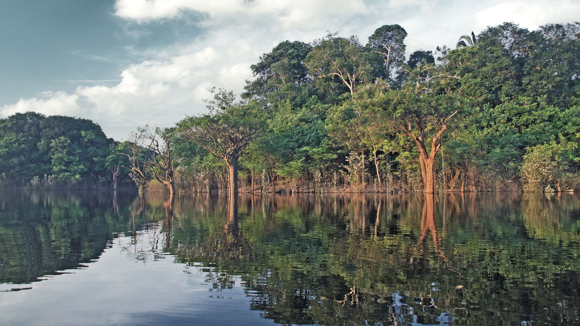Amazonie, l’appel de la nature