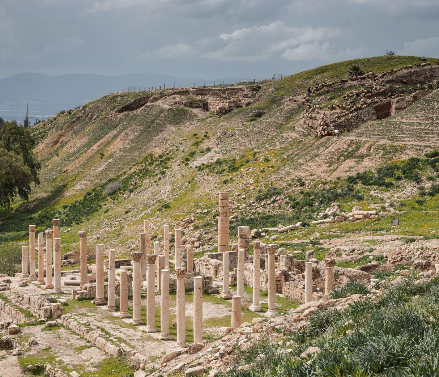 Die Antike Stadt Pella mit ihre römischen Ruinen.