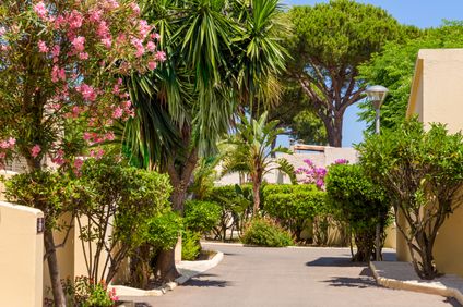 5. Bild der Unterkunft