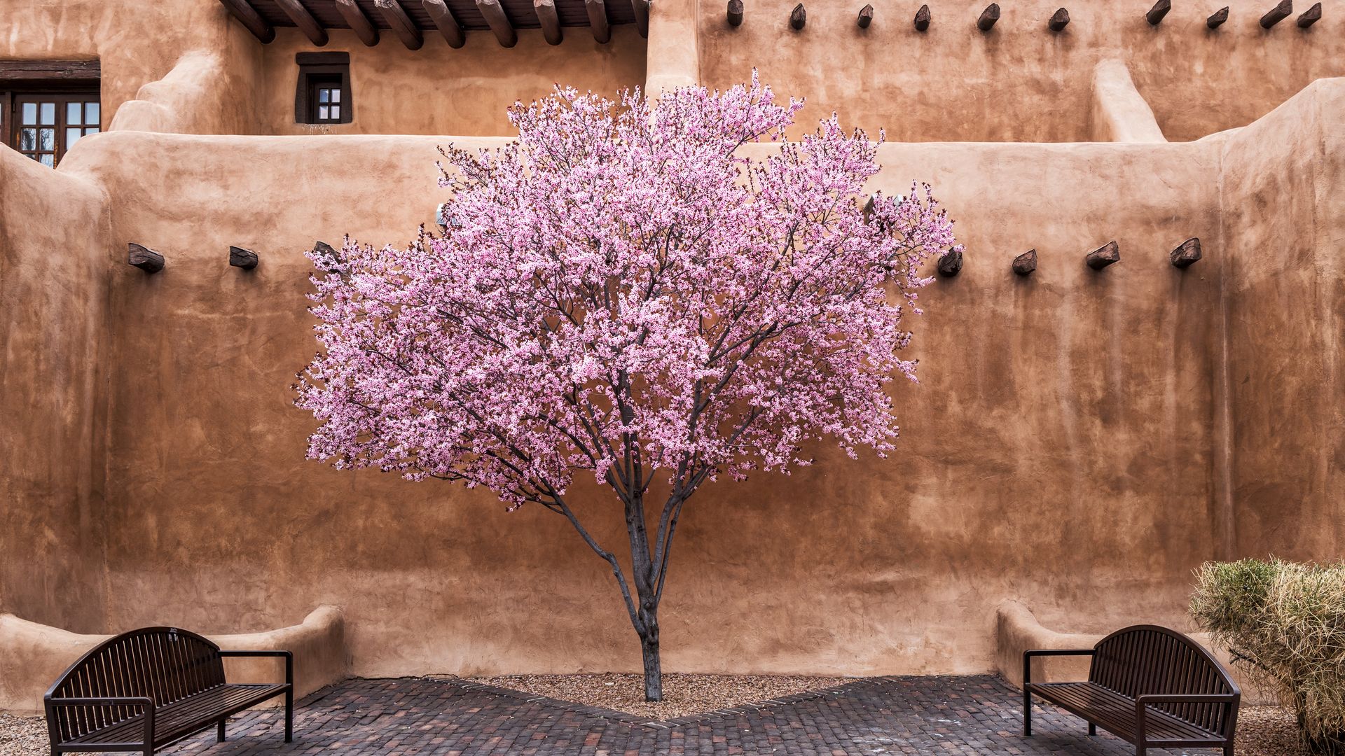 A Santa Fe, très connu pour ses galeries d’art, vous pourrez admirez l’architecture unique des pueblos.