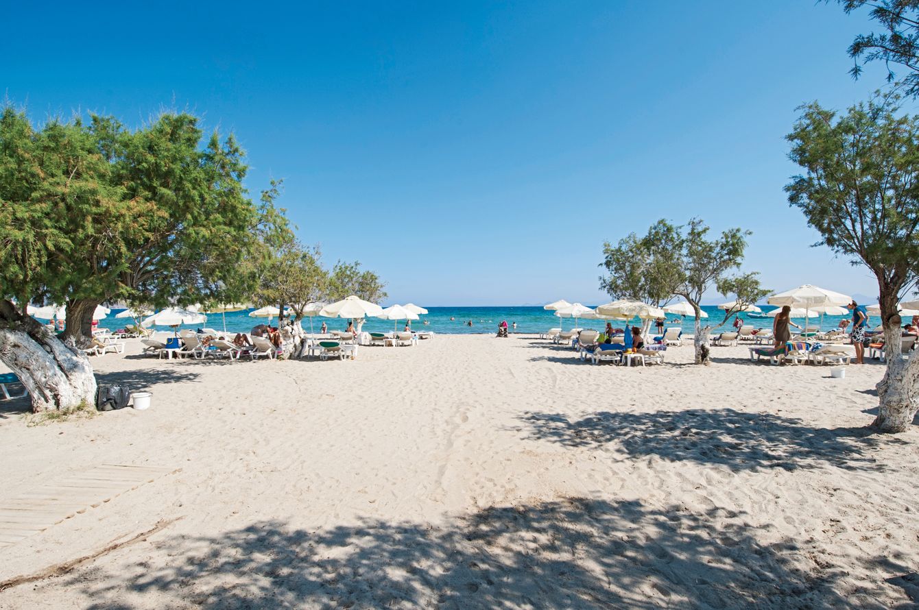 Strand