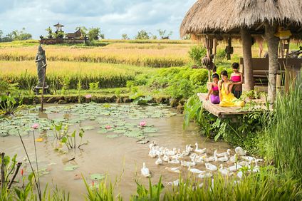 8. Bild der Unterkunft